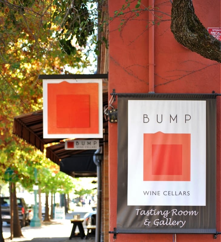 Well Design Bump Wine Cellars Identity Sign Package