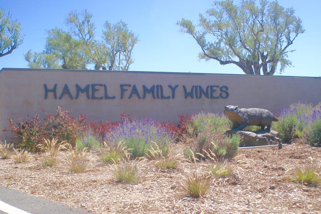Well Design Hamel Family Wines Entrance Wall Illuminated Dimensional Letters